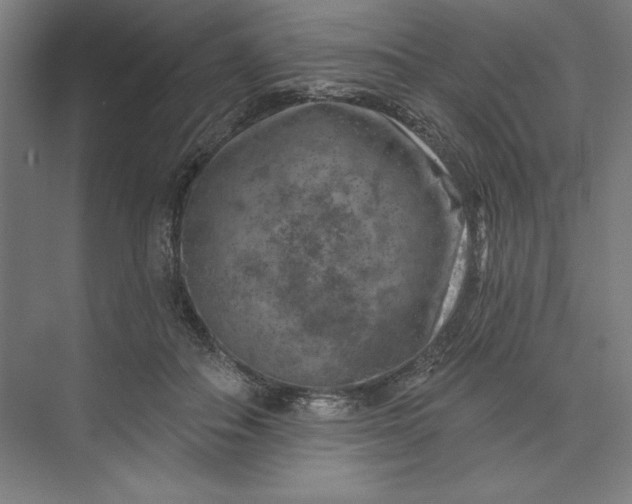 X0000074040506200609061211