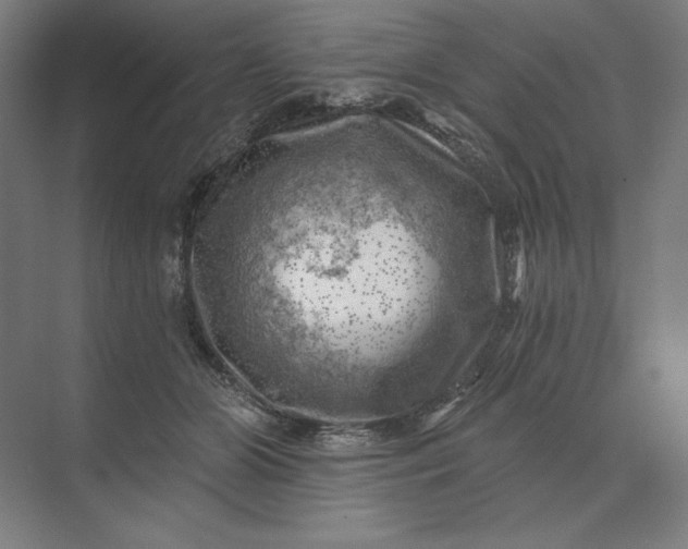 X0000074040510200609061211