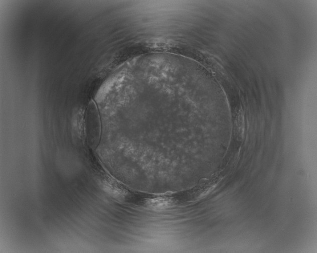 X0000074040511200609061211