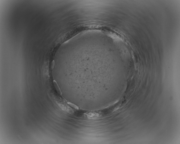 X0000074040512200609061211