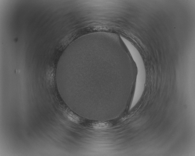 X0000074040513200609061211