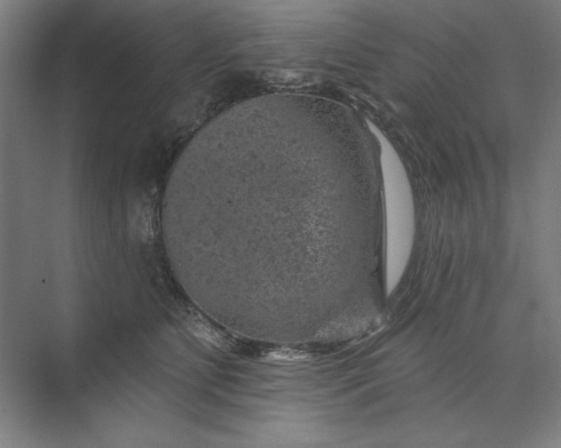 X0000074040515200609061211