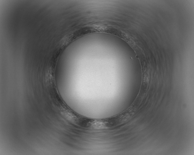 X0000074040518200609061211