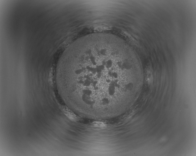 X0000074040519200609061211