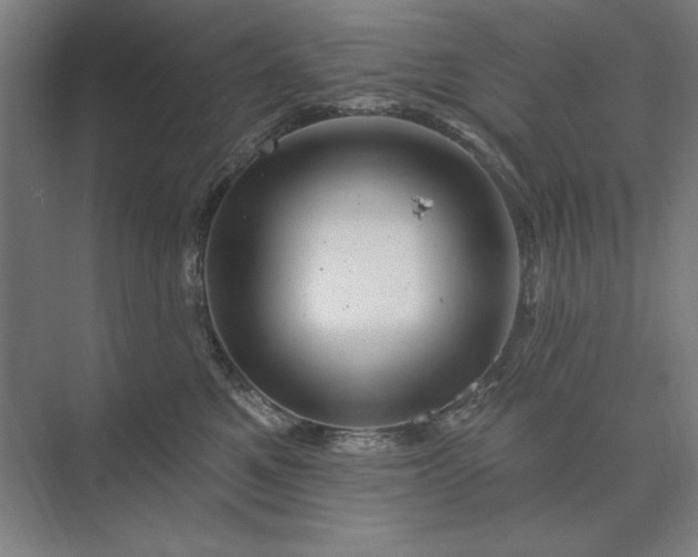 X0000074040521200609061211