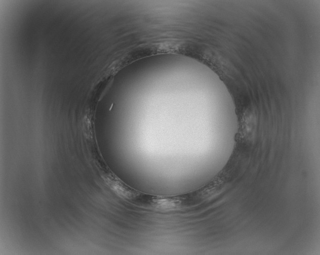 X0000074040522200609061211