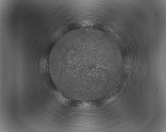 X0000074040523200609061211