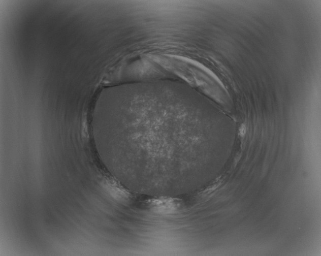 X0000074040524200609061211