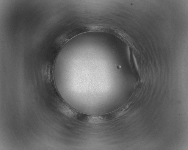 X0000074040525200609061211