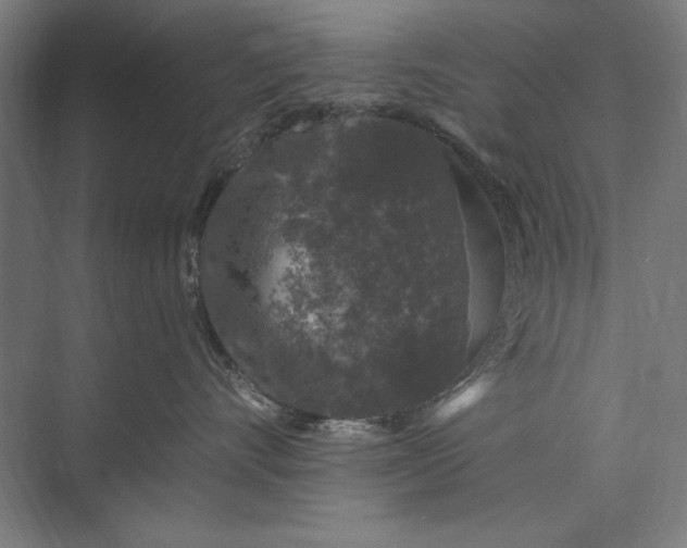 X0000074040528200609061211