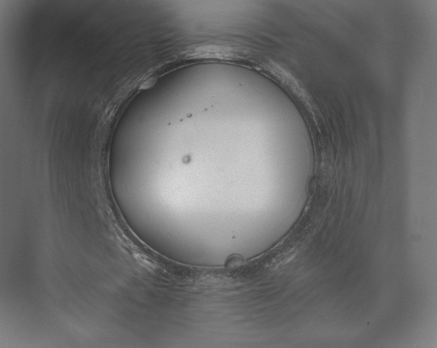 X0000074040529200609061210