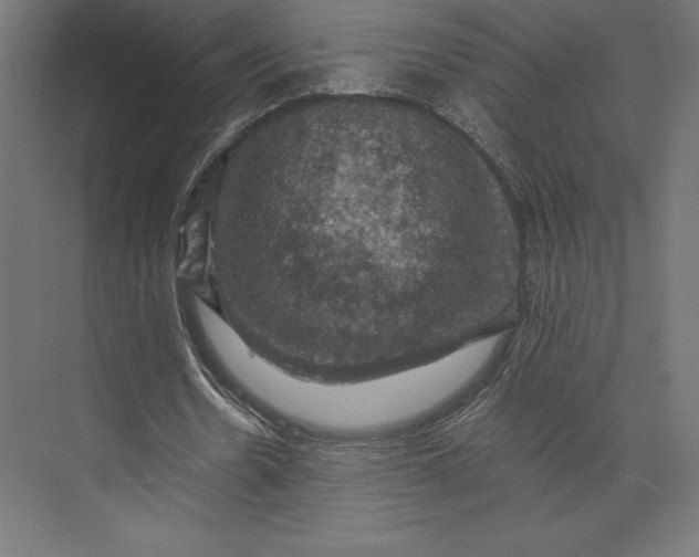 X0000074040530200609061210