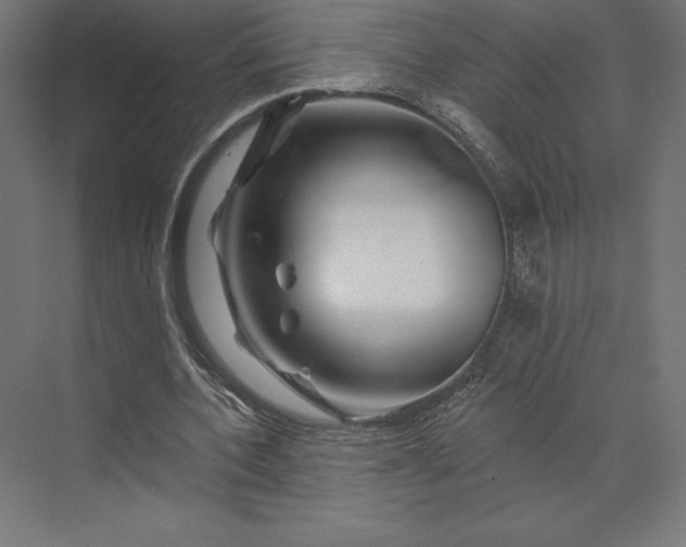 X0000074040532200609061210