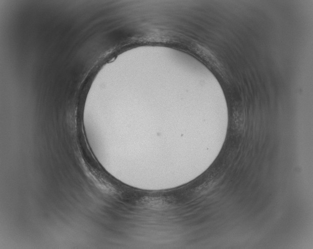 X0000074040534200609061210