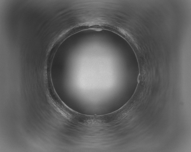 X0000074040535200609061210