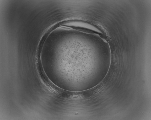 X0000074040536200609061210