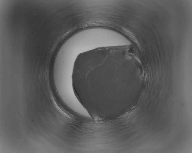 X0000074040538200609061210