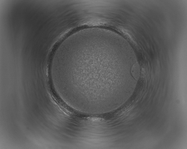 X0000074040539200609061210