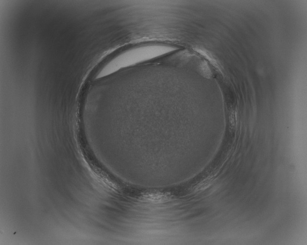 X0000074040540200609061210