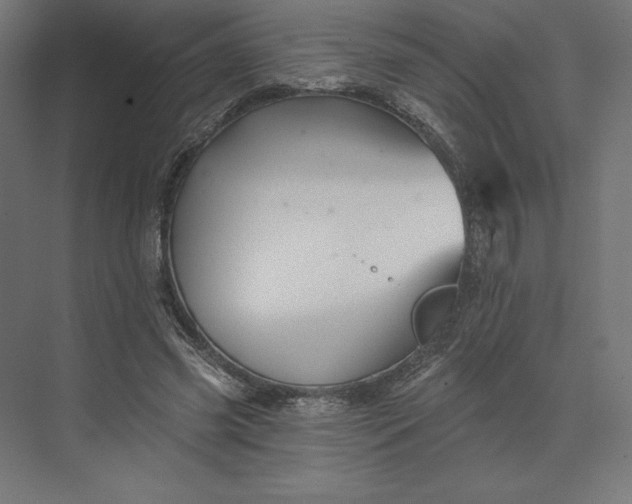 X0000074040541200609061210