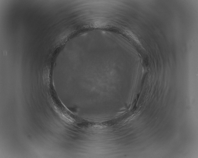 X0000074040542200609061210