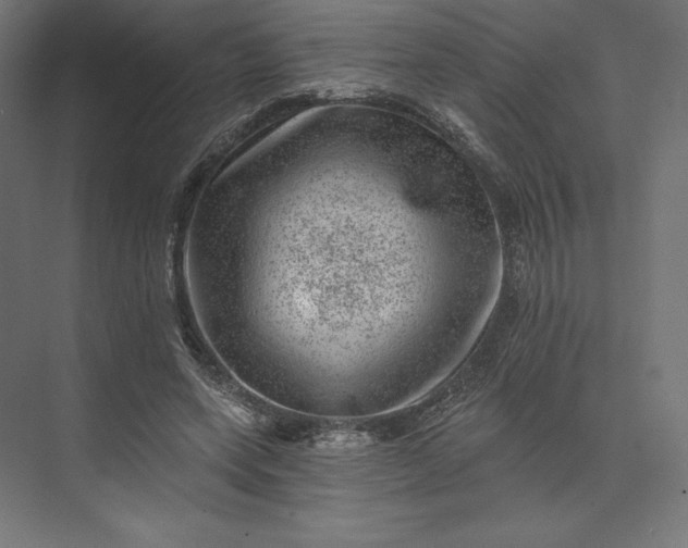 X0000074040543200609061210