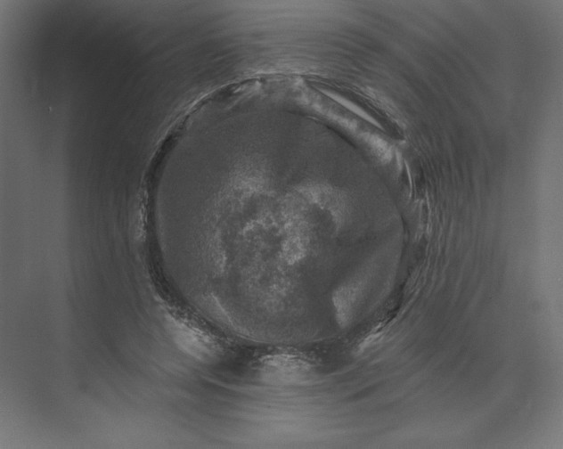 X0000074040544200609061210