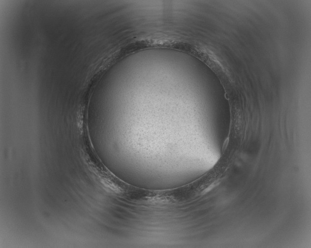 X0000074040545200609061210