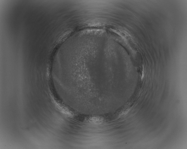 X0000074040546200609061210