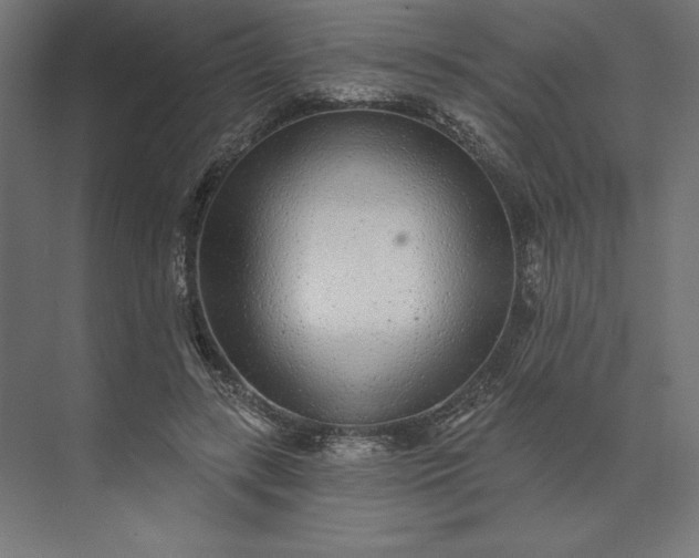 X0000074040547200609061210