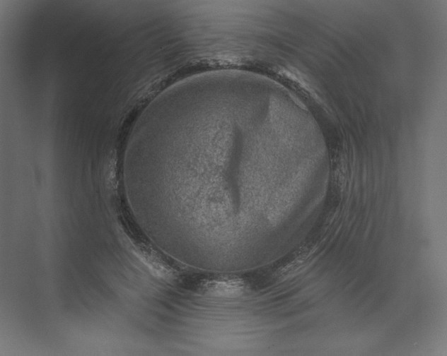 X0000074040548200609061210