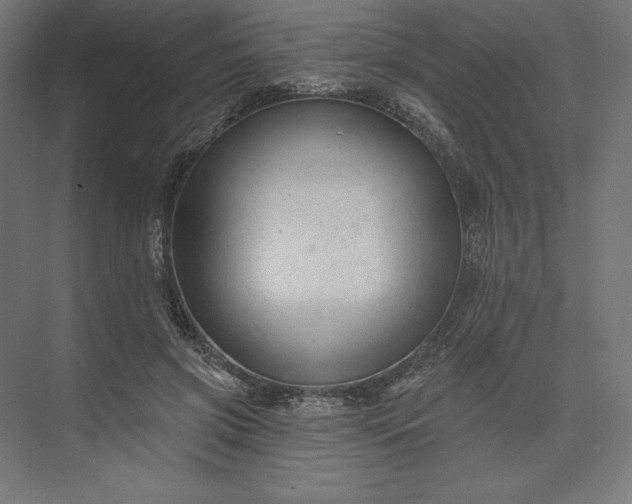 X0000074040549200609061210