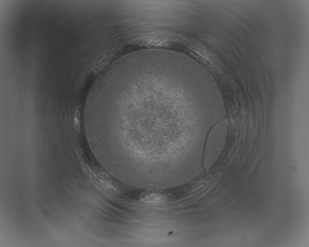 X0000074040551200609061210