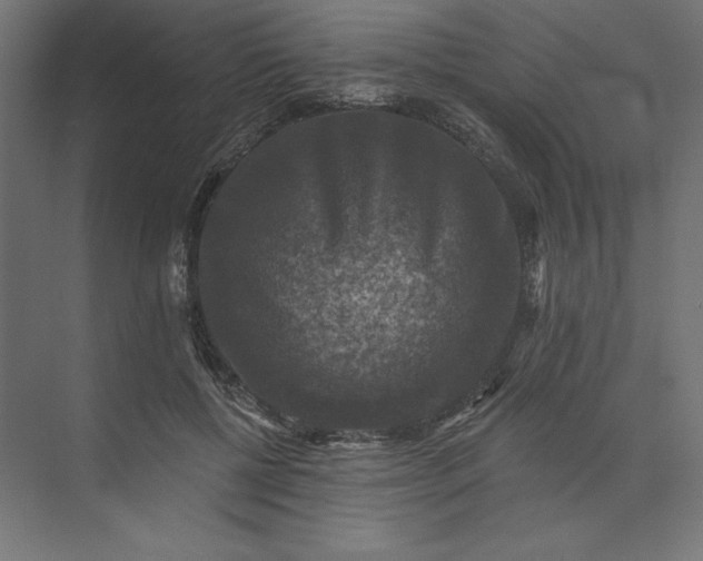 X0000074040552200609061210