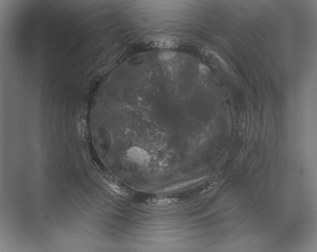 X0000074040553200609061210