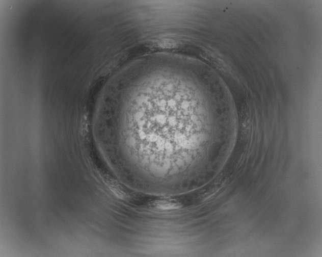 X0000074040555200609061210