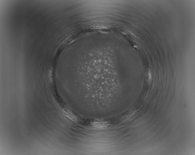 X0000074040556200609061210