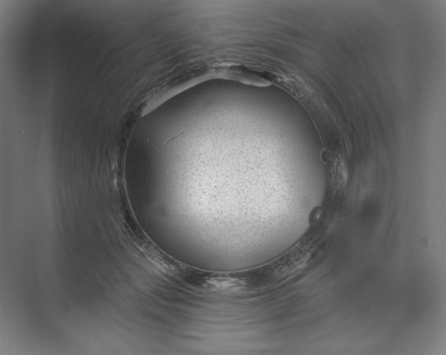 X0000074040557200609061210