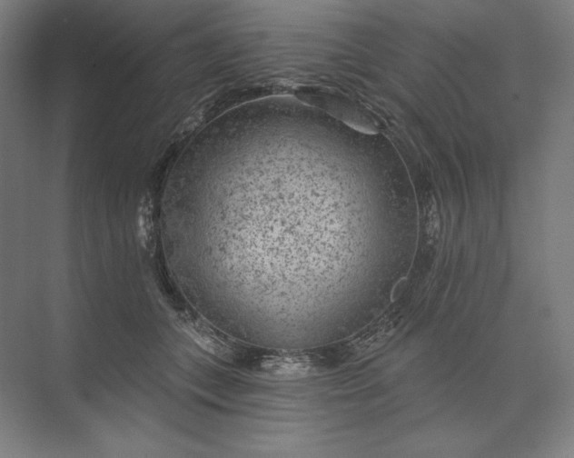 X0000074040559200609061210