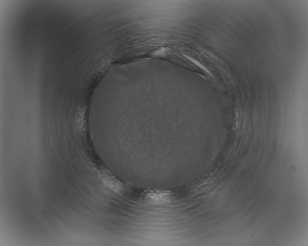 X0000074040560200609061210