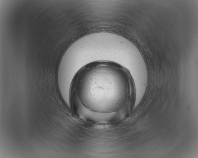 X0000074040561200609061210