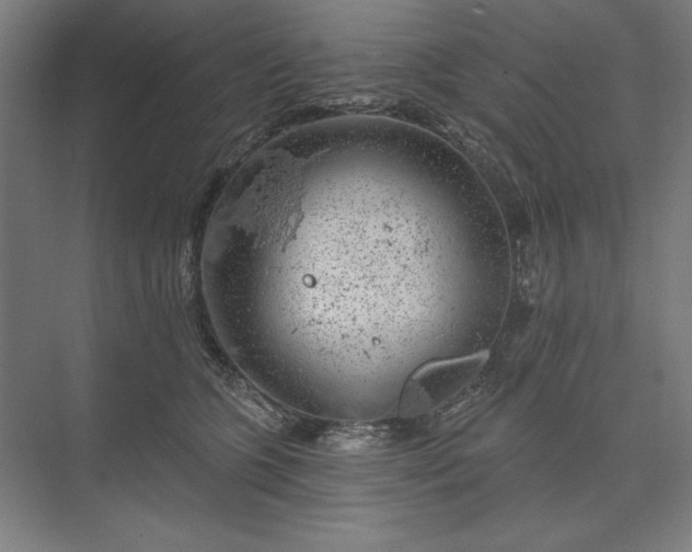 X0000074040563200609061210