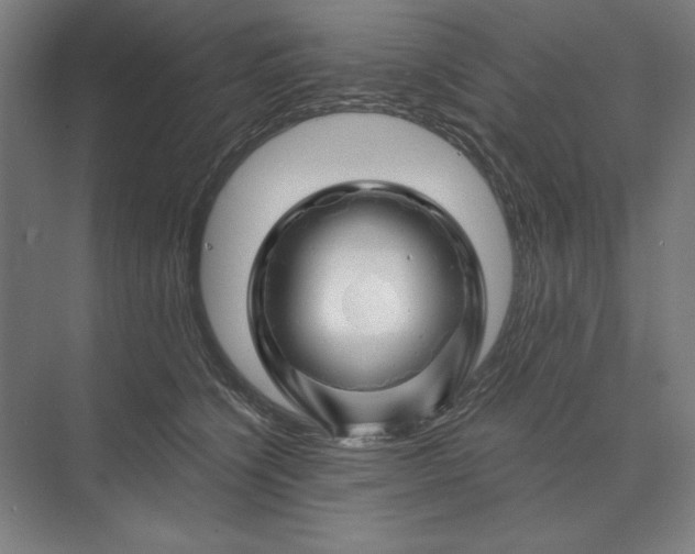 X0000074040564200609061210