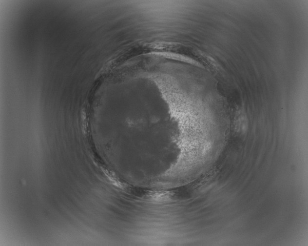 X0000074040569200609061210