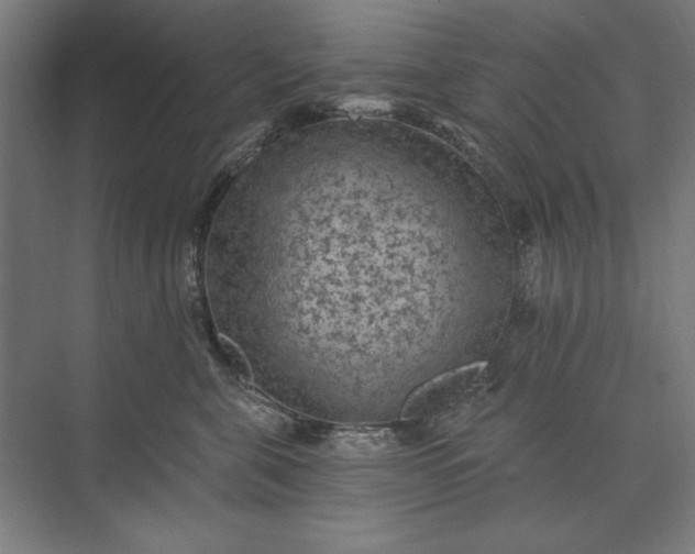 X0000074040571200609061210