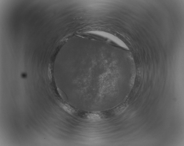 X0000074040572200609061211