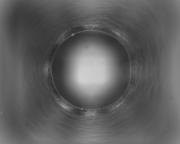 X0000074040574200609061211