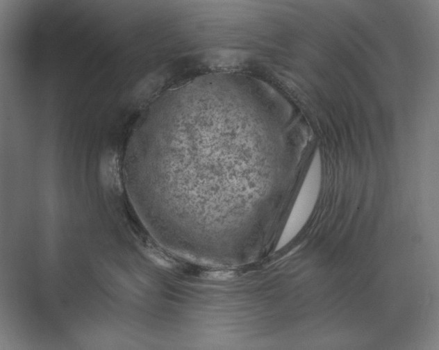 X0000074040575200609061211