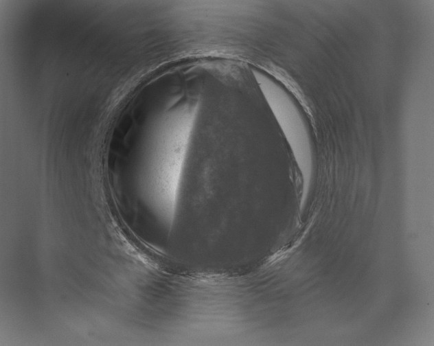 X0000074040577200609061210