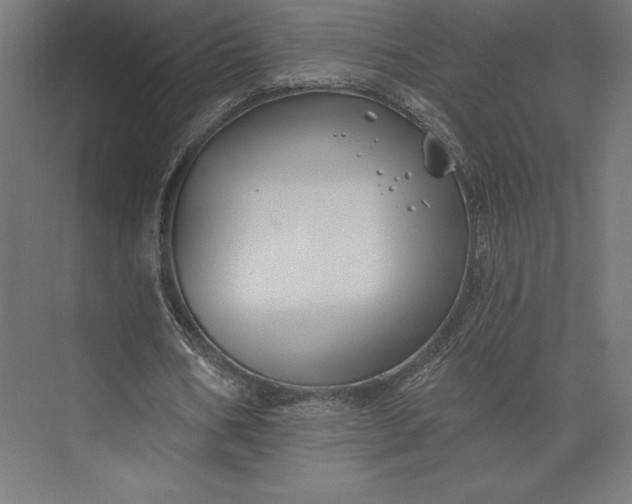 X0000074040578200609061210